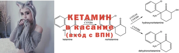 дмт Абинск