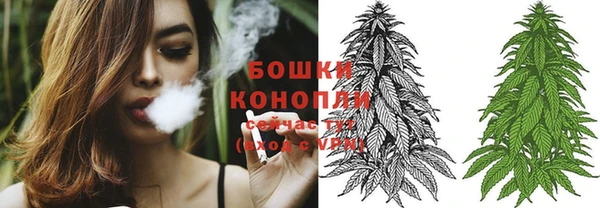 ГАЛЛЮЦИНОГЕННЫЕ ГРИБЫ Покровск