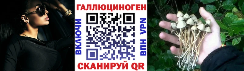 Псилоцибиновые грибы Cubensis  купить наркотик  Весьегонск 